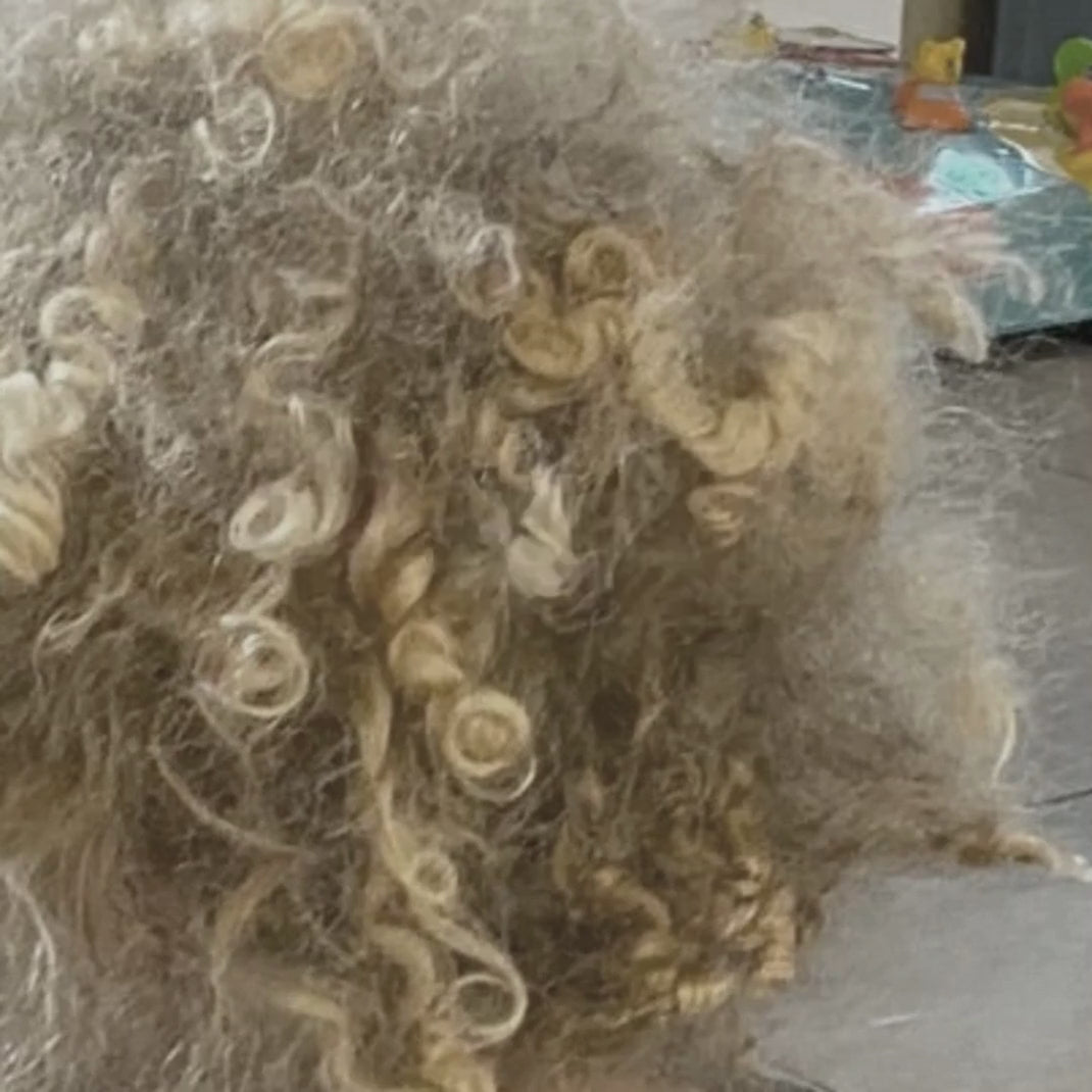 Application sur les cheveux d'enfants du soin crème pour cheveux bouclés